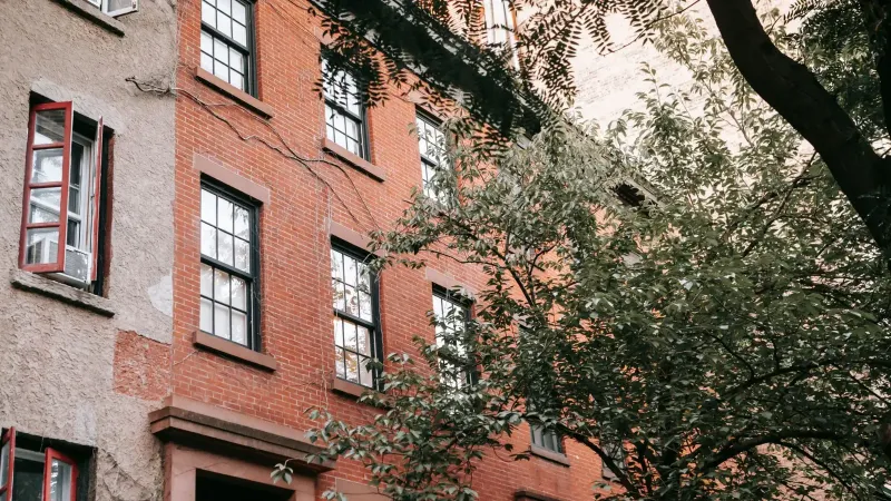 Desde abajo de la fachada del apartamento de mampostería contemporánea cerca de árbol verde en la calle en la ciudad moderna a la luz del día suave