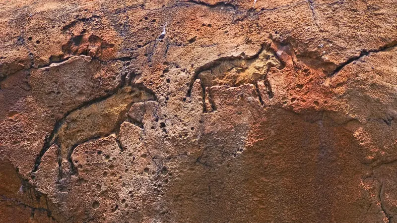 Vista detallada de tallas de roca prehistóricas que representan animales sobre una superficie escarpada.