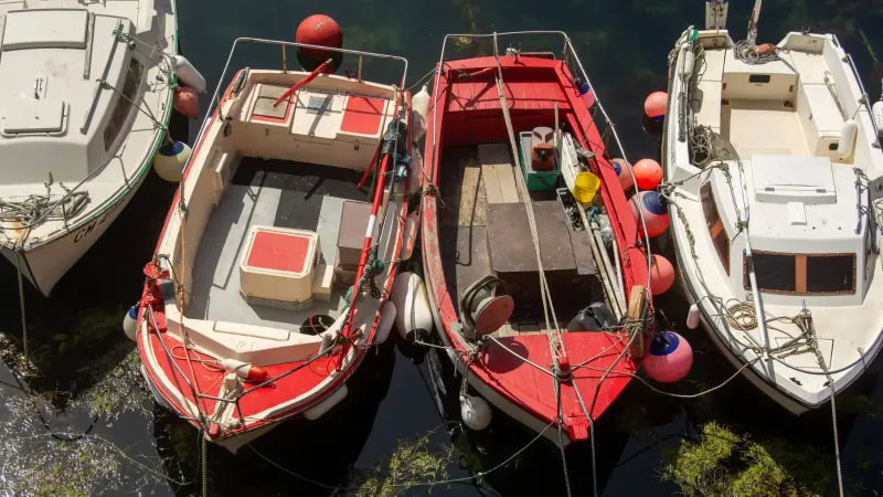 Aerial view of vibrant boats moored by the shore, showcasing maritime activities and harbor life.