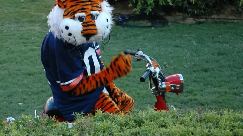 Descripción: Aubie, la mascota disfrazada de la Universidad de Auburn, entretiene a las multitudes en su bicicleta.