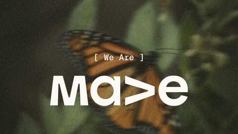 We are Mave, over a butterfly in flight