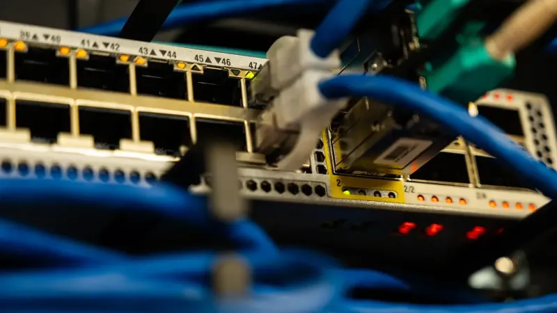 Imagen de primer plano de cables Ethernet conectados a un conmutador de red, que muestra la infraestructura de TI.