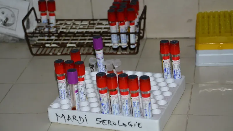 Esta es una imagen con el tema "Salud y Bienestar en África" de: