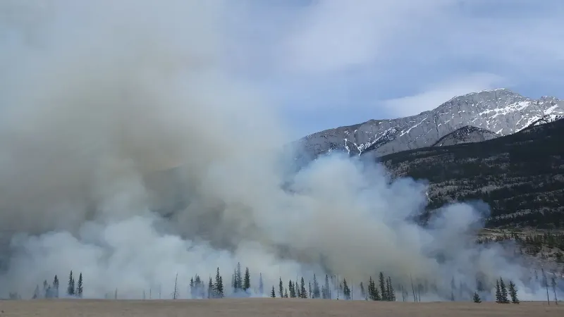 Captura de un incendio forestal con humo que se eleva contra un telón de fondo de montaña en un paisaje natural escénico.