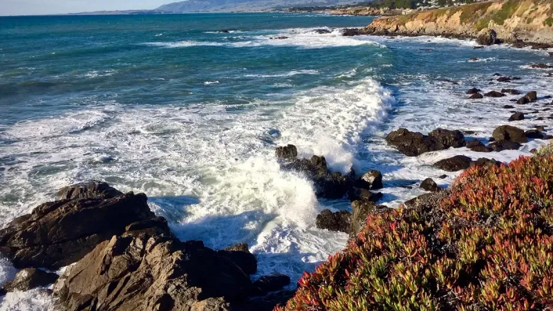 Cambria, California, a lo largo del sendero del acantilado.
