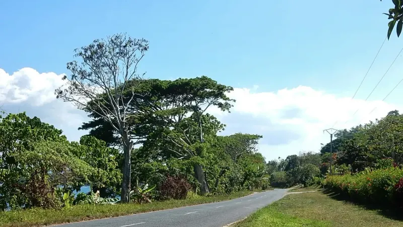 Camino a lo largo de la costa